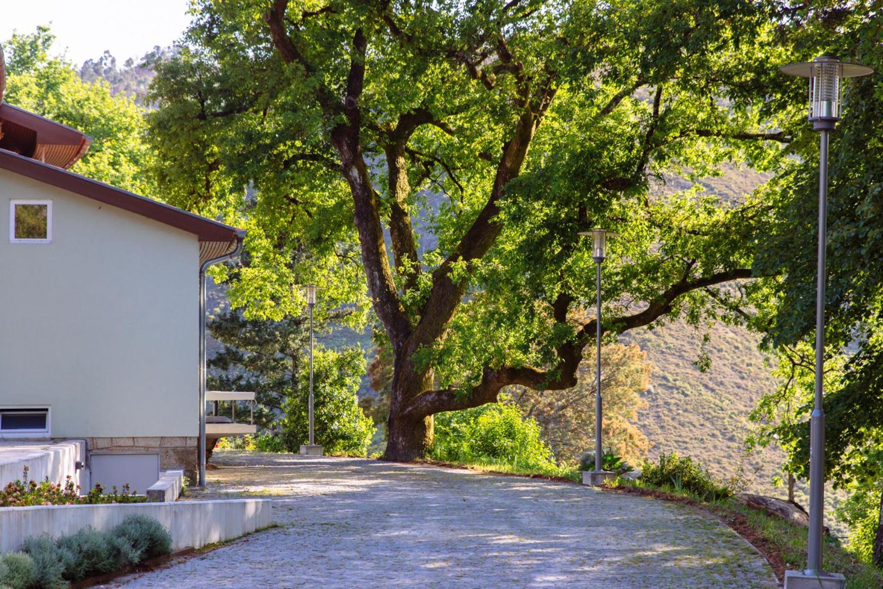 Hotel Rural Misarela Gerês Extérieur photo